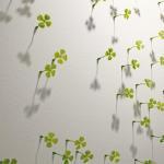 Wall of Luck - Il Muro della Fortuna