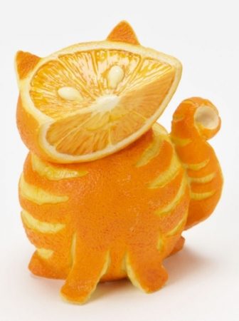Gatto con arancia