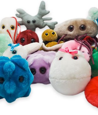 Peluche microbi: scopri gli originali Giant Microbes