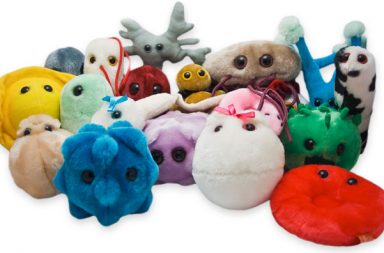 Peluche microbi: scopri gli originali Giant Microbes