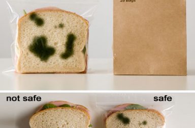 ANTI-THEFT LUNCH BAGS