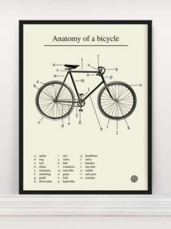 Anatomy of a Bicycle