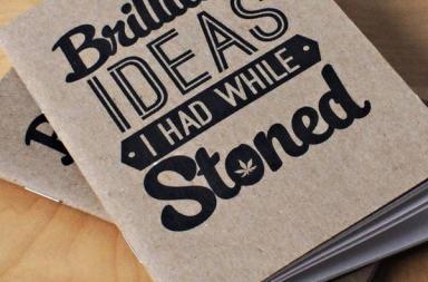Brilliant Ideas I Had While Stoned Notebook