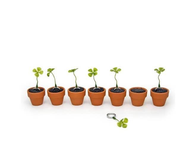 Good Luck Ring: Anello Portafortuna