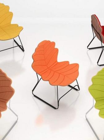 Chair Autumn colors