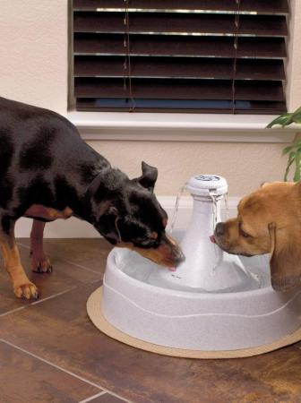 Fontana per cani Drinkwell 360
