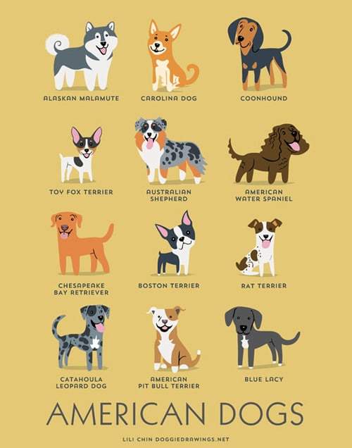 american-dogs-illustration-by-lili-chin