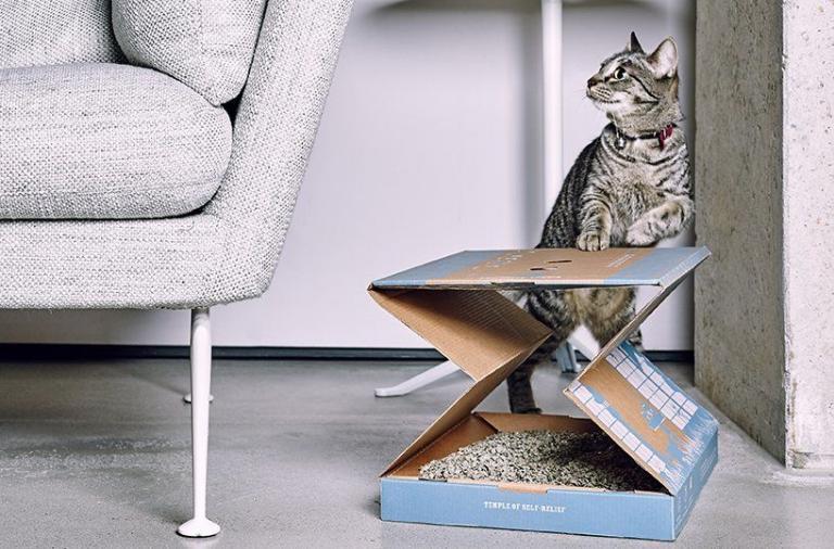 Poopy Cat, lettiera per gatti pronta in pochi secondi