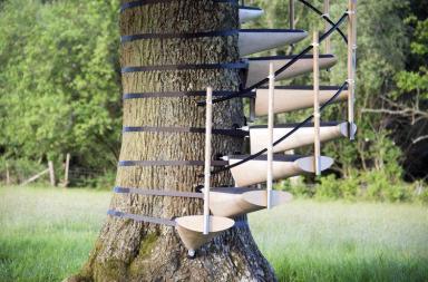 CanopyStair, una scala modulare per salire sugli alberi