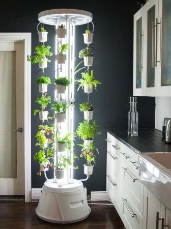 NutriTower, la coltivazione idroponica in casa!