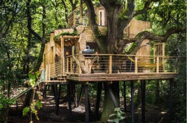 Woodsman’s treehouse, lusso sostenibile nel Dorset