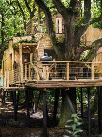 Woodsman’s treehouse, lusso sostenibile nel Dorset