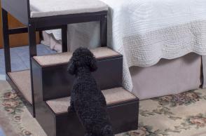 Letto per cani e gatti Penn Plax Buddy Bunk