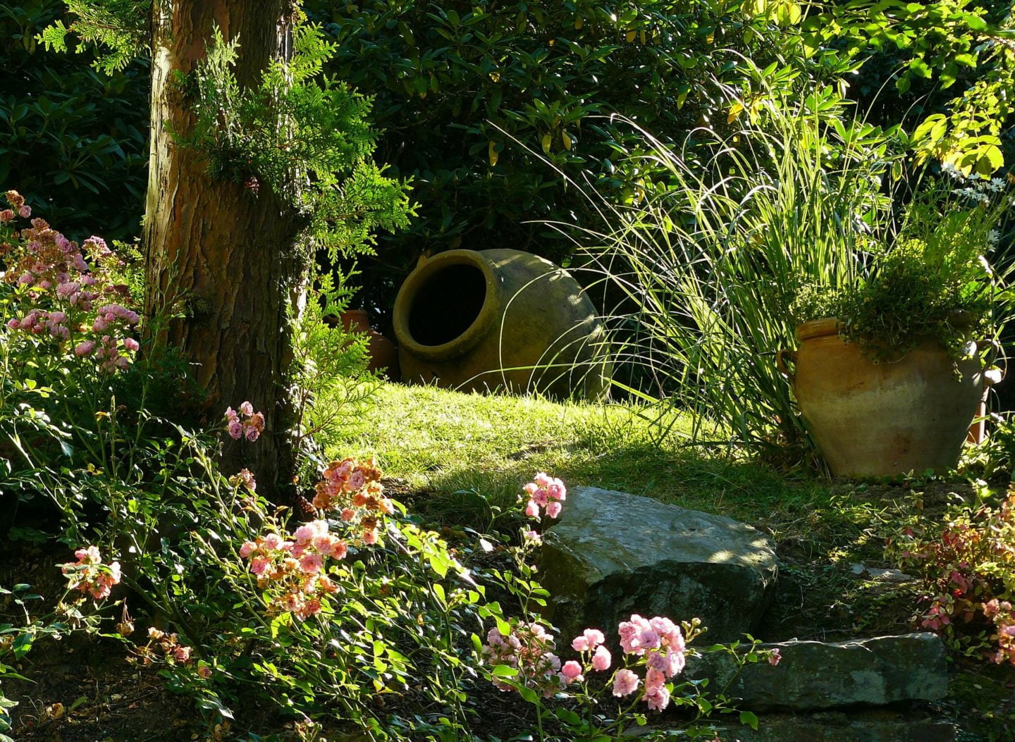 10 idee per arredare l'esterno: Piante da giardino - Design Miss