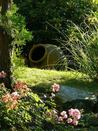 10 idee per arredare l’esterno: Piante da giardino