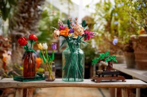 Lego e i kit di fiori e bonsai della Botanical Collection
