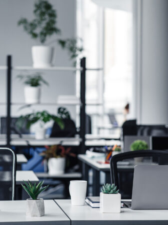 Proteggere l’intimità domestica: consigli per un rifugio impenetrabile