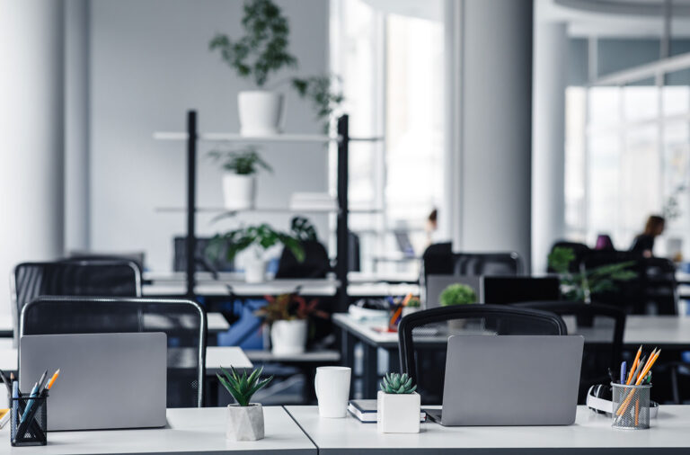 Proteggere l’intimità domestica: consigli per un rifugio impenetrabile