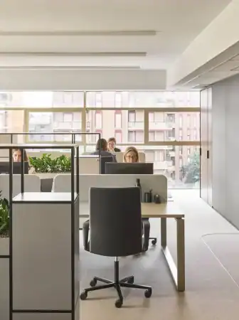 Curve, comfort e performance acustiche: Luconi firma gli spazi della sede Honegger con il sistema Simple Bold
