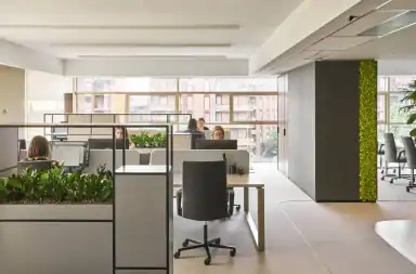 Curve, comfort e performance acustiche: Luconi firma gli spazi della sede Honegger con il sistema Simple Bold
