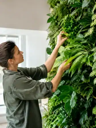 Pareti verdi interne: progetto, cura e materia